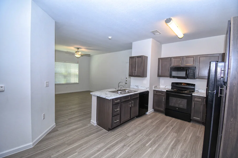 Open apartment kitchen and living space
